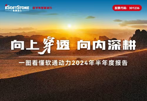 一图看懂软通动力2024年半年度报告